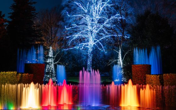 fountains lit by colorful lights, with a large blue-lit leaf-bare deciduous tree in the center background