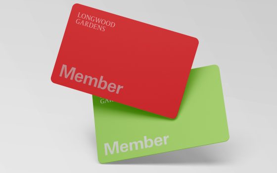 closeup of 2 Longwood Gardens Membership cards: 1 red, 1 green
