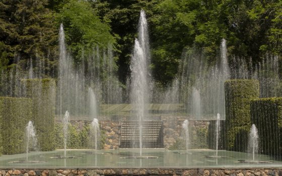 fountain jets rise up on a stage with green arborvitae hedges on each side and green trees in the background