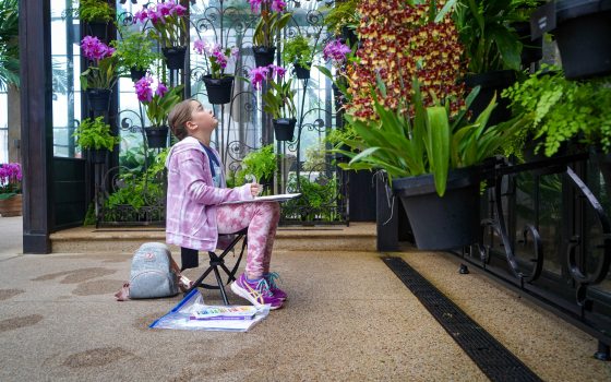 a young person sits with a sketchpad on their lap, a set of oil pastels on the floor beside them, looking up at a wall filled with orchids