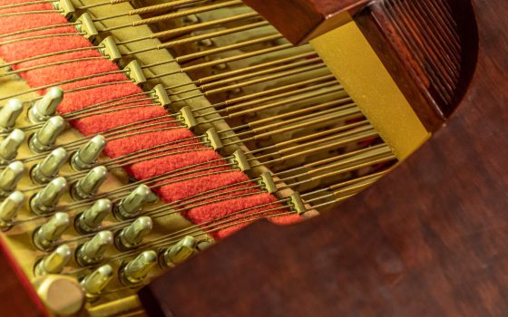 a close up shot of a musical instrument with keys and strings