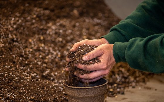 a person filling a small pot with soil