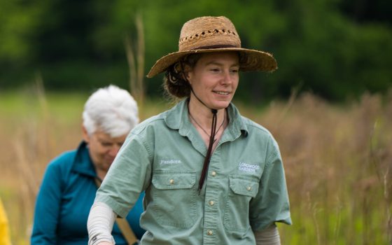 Smiling people follow a guide in a hat on a walk through a meadow.