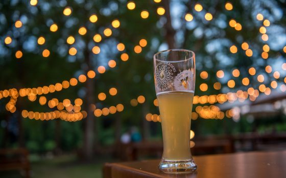 A glass of beer on a picnic table in an outdoor beer garden.