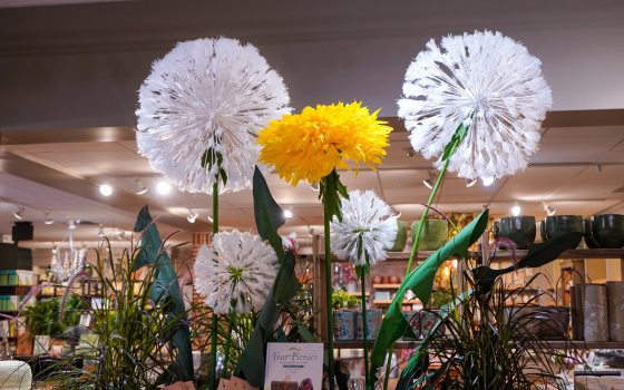 Large handmade paper flowers in yellow and white hanging in a gift shop.