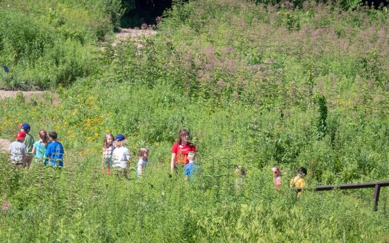 A vista of a meadow garden path with students walking down a trail.