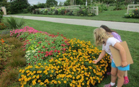 Two young children examining bright yellow flowers in a garden setting.