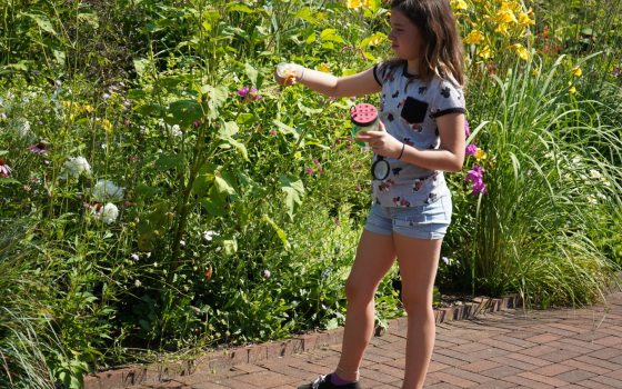 A young person standing next to tall plantings in a garden bed reaching out to a flower.