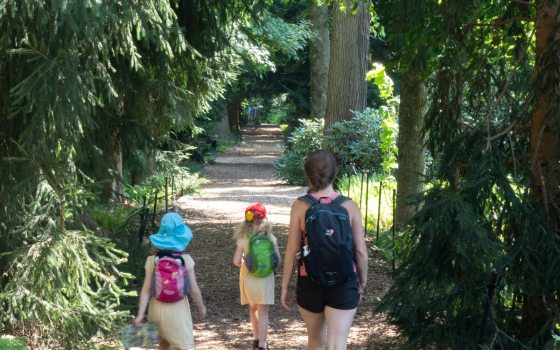 An adult and two children wearing backpacks walking down a mulch path with trees on each side.