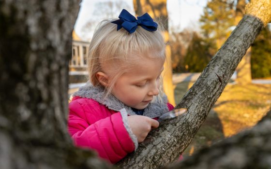 A young child in a winter coat inspects the bark of a bare deciduous tree with a hand lens.