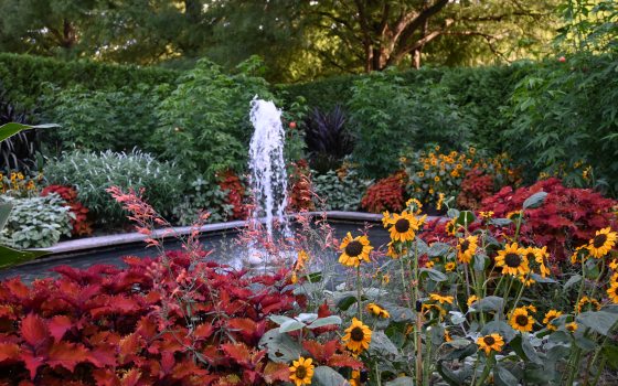A single fountain rises from a square pool fronted by red leaves and yellow flowers, and backed by foliage in a variety of heights and hues.