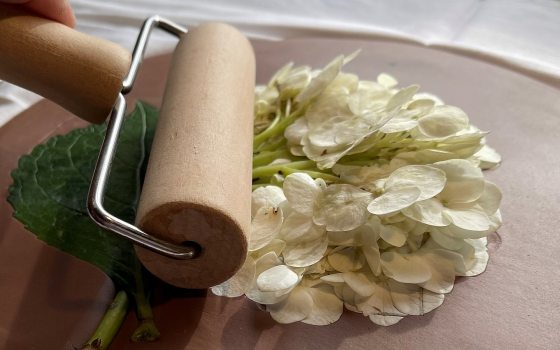 White flowers laid flat on a slab of clay with a roller on top of them.