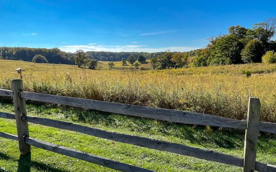 A wood fence in front of a meadow during a sunny day with bright blue skies.