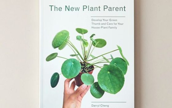 The cover of the book The New Plant Parent.