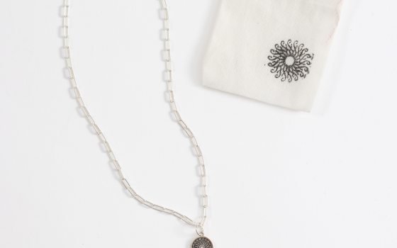 A silver necklace featuring the Longwood rosette on a charm.