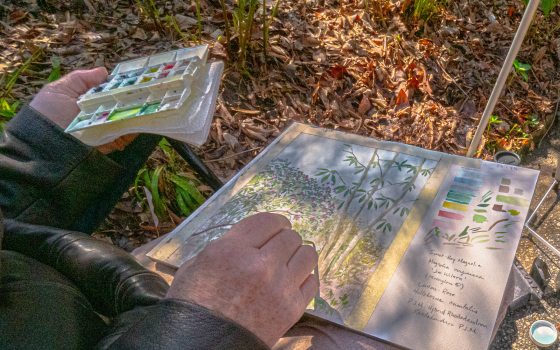 A person creating a pastel drawing of a nature scene.