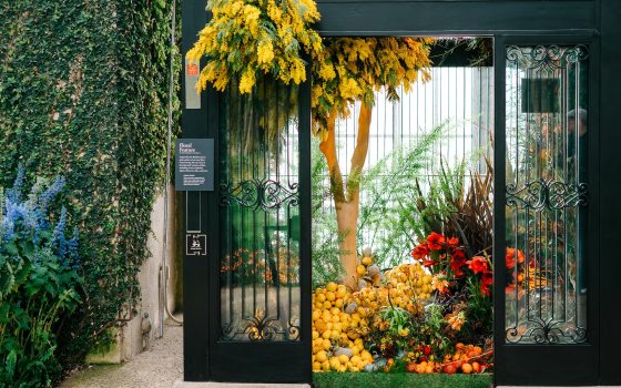 View of the interior of an elevator, its opened ornate metal doors showcasing a display of brightly colored tropical fruit and flowers.