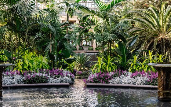 Two indoor fountains spill over into a conservatory pool outlined by purple, white, and dark green flowers and foliage, amid lush towering tropical plants, with a view of a waterfall, terrace, and windows in the background.