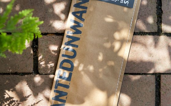 A brown package of Flyaway Sticks laying on a brick walk.