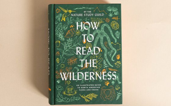 A book with a green cover titled How to Read the Wilderness.