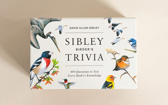 A game called Sibley Birder's Trivia in a white box with colorful images of birds.