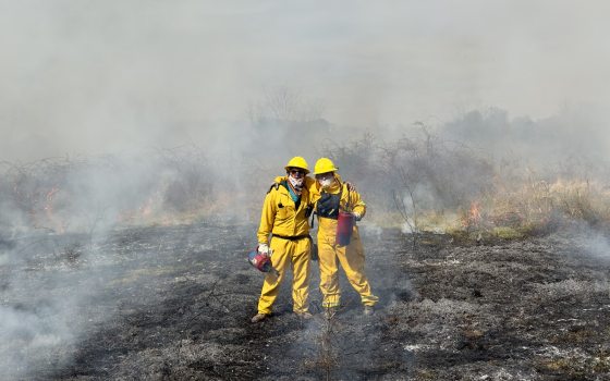 Two people in yellow protective suits standing in a recently burned meadow.