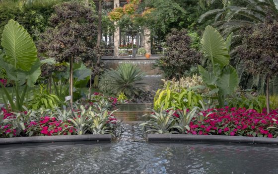 Two pedestal fountains spill water into an oval basin bordered by fuchsia-colored flowers and a variety of foliage, which in turn spills into a stream in a conservatory, bordered by tropical plants, with a waterfall, hanging baskets, and large windows in the background.
