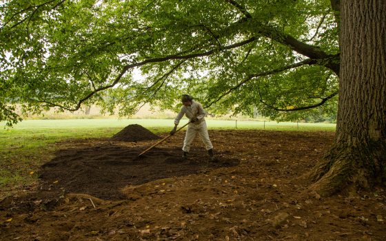 A gardener wearing a white jumpsuit, dark green boots and gloves, a dark green bandanna, and glasses, spreads fresh compost around the base of a large tree.