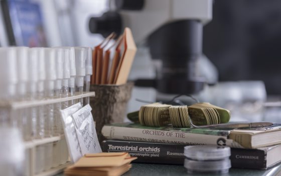 A desk with items for seed collecting including test tubes, books, small manila envelopes, and a microscope.