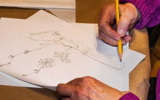 A person sketching a plant with a pencil onto white paper.