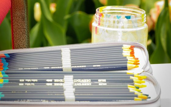 Colored pencils arranged in an open case resting on a table.