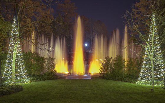 Fountains lit with yellow light rise against a night sky, with a lit Christmas tree form on either side.