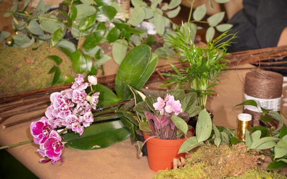 An assortment of floral design materials on a table.