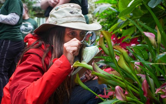 Woman examines plants through magnifying glass.