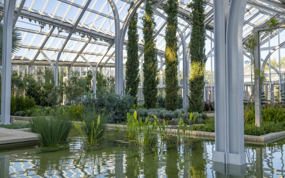 The interior of the West Conservatory, showing pools with green aquatic plants and islands with tall Mediterranean cypress trees. 