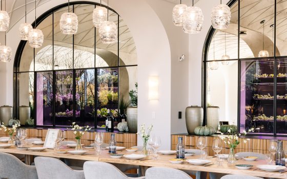 A long oak table is set with white dinner plates and clear glasses. In the background are arched mirrors and growing herbs. 