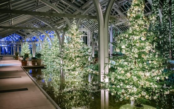 An indoor conservatory featuring Christmas trees in white lights, on pedestals, in shallow water.