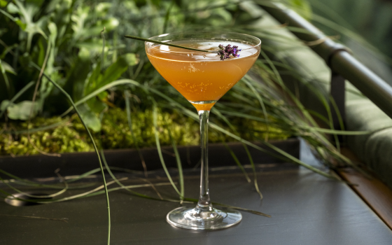 Closeup of amber colored cocktail in stemmed glass, topped with purple floral sprig.