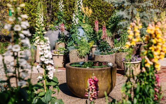 An outdoor hardscaped space containing a variety of spring floral containers.