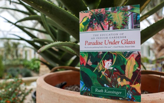 A colorful book entitled "Paradise Under Glass" is perched on the rim of a large clay pot containing a tropical plant.
