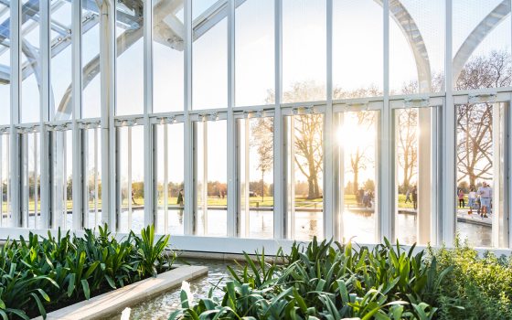 A view from the inside looking out of a glass house, with green plants and fountains in the foreground, and a view through the windows of golden hour, trees, and people approaching. 