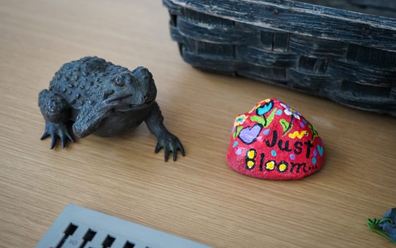 A realistic stone toad and a painted rock that reads "just bloom" on a desk. 