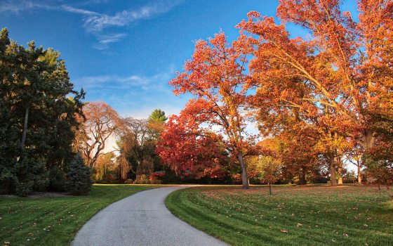 A paved path cuts through a fall landscape with trees with orange and red foliage on the right side, and a green tree on the left. 