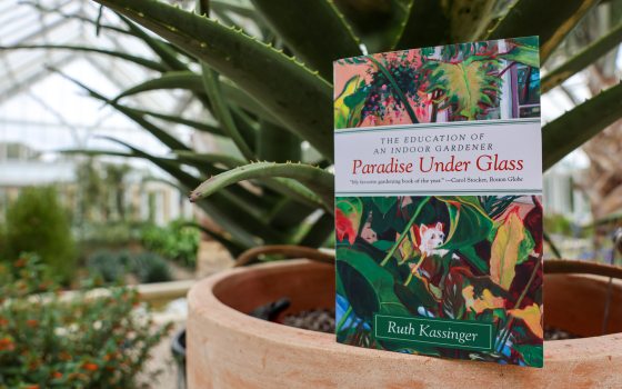 A book titled "Paradise Under Glass" propped up on the edge of a terra cotta planter, inside a conservatory.