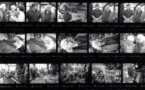 black and white contact sheet of historic images of Roberto Burle Marx and members of the Longwood team and the public at the opening of the Cascade Garden