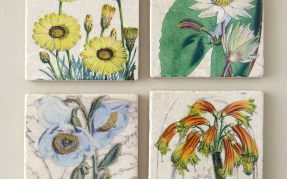 Four botanical themed coasters arranged in a square.