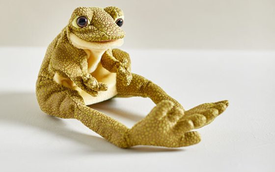A green and yellow stuffed frog puppet.