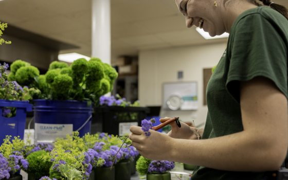 Teen Volunteer trims flowers for arrangements