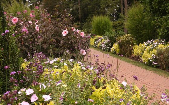 An outdoor garden featuring late summer blooms and a brick path way in the center.