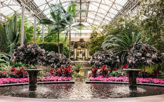 Two pedestal fountains spill water into an oval basin rimmed by pink flowers and backed by a variety of tropical blooms and foliage, beneath an expansive glass ceiling.